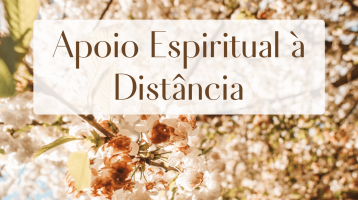 Apoio Espiritual a Distância XIII.